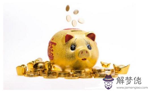 多少年一個金豬年,距下個金豬年還有12年