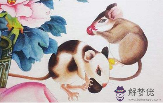 不同年份屬鼠人2019運勢,1972年屬鼠人遇貴人