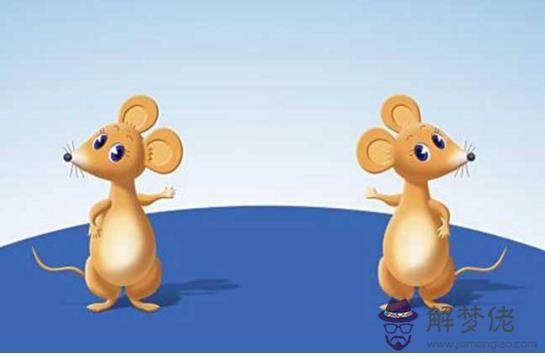 不同年份屬鼠人2019運勢,1972年屬鼠人遇貴人