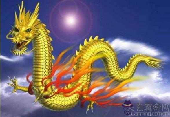 屬龍2019年生肖運勢 事業順利財運樂觀