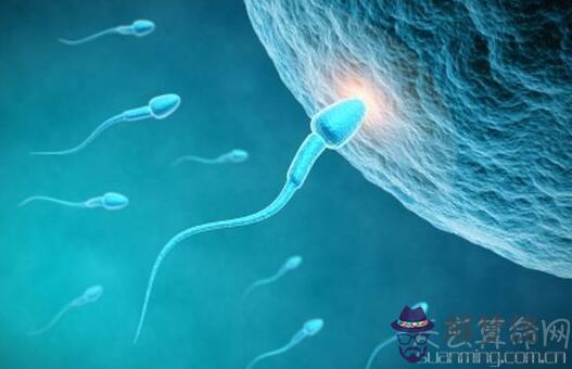 2019年屬豬備孕注意事項 屬豬備孕月份表(九月生子氣溫秋高氣爽)