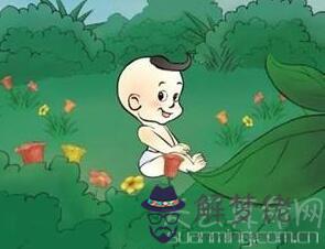 2019年屬豬備孕注意事項 屬豬備孕月份表(九月生子氣溫秋高氣爽)