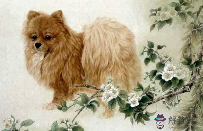 十二生肖的傳說之狗，因忠誠被信賴