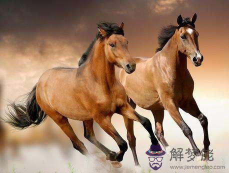 屬馬的今年多大，不同年份屬馬人年齡大全