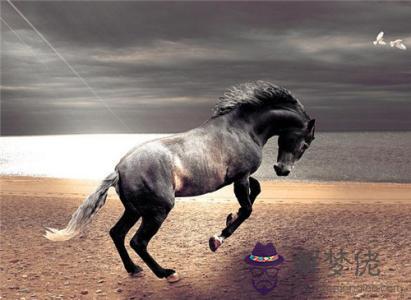 屬馬的今年多大，不同年份屬馬人年齡大全