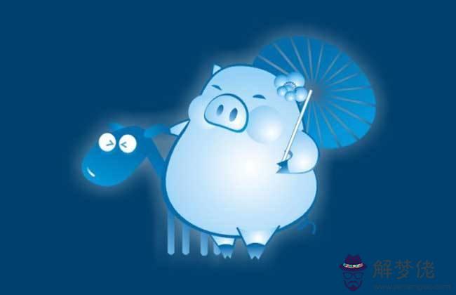 屬豬的今年多大,最小的豬寶寶還有3個月出世