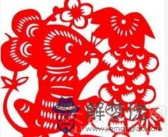 2019年屬鼠的運勢詳解 事業名利雙收健康欠佳