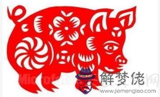 2019年屬豬的運勢 本命年事業先苦后甜