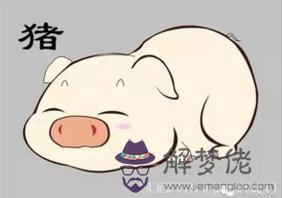 2019年屬豬的運勢 本命年事業先苦后甜