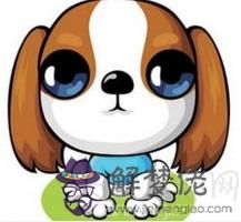 屬狗的幾月出生最好 十二月出生的屬狗的人一生幸福榮華