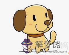屬狗的幾月出生最好 十二月出生的屬狗的人一生幸福榮華