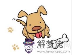 屬狗的幾月出生最好 十二月出生的屬狗的人一生幸福榮華