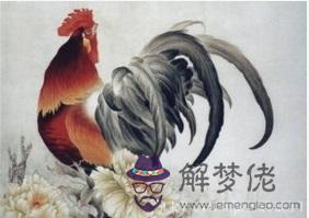 屬雞人的婚姻與命運 婚姻美滿事業順利