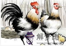 屬雞人的婚姻與命運 婚姻美滿事業順利