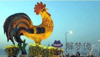 屬雞人的婚姻與命運 婚姻美滿事業順利