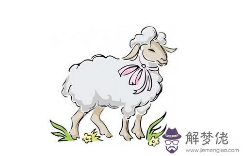 屬羊的和什麼屬相三合,豬兔羊三合木局