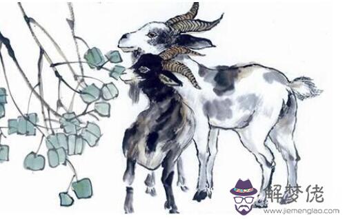 屬羊的和什麼屬相三合,豬兔羊三合木局