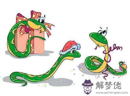 屬蛇的今年多大,不同年份屬蛇人年齡大全