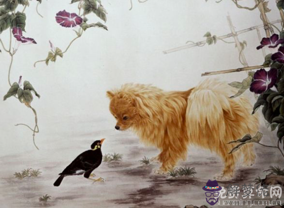 屬狗和什麼屬相配比較好,與狗白頭偕老的生肖有哪些