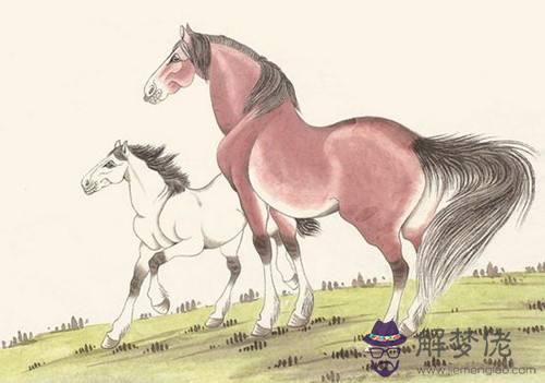 屬馬人的婚姻與命運,屬馬買彩票中獎可能性大