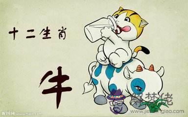 屬牛人的婚姻與命運,屬牛人為最佳伴侶