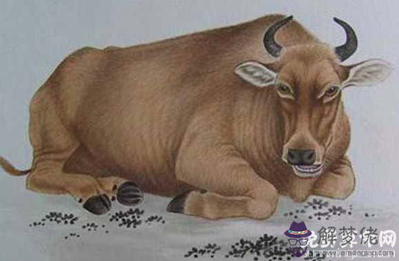 屬牛和什麼屬相配比較好,與牛白頭偕老的生肖有哪些