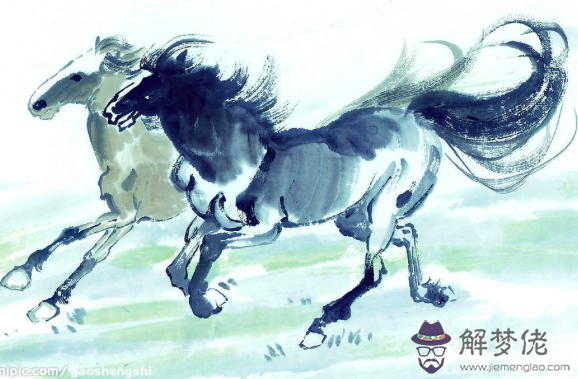 屬馬的年份是哪幾年,各年份命運大解析