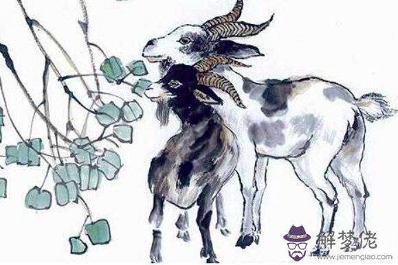 屬羊的年份是哪幾年,各年份命運大解析