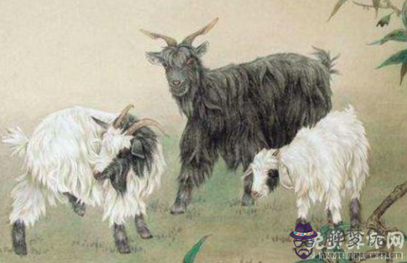 屬羊的年份是哪幾年,各年份命運大解析