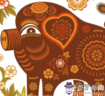 屬豬的年份是哪幾年,各年份命運大解析