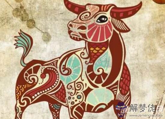 屬牛的玻璃心很容易破碎,非常在乎別人對自己的看法