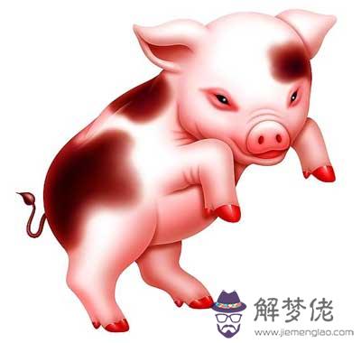 2018年屬豬的運勢非常好,但是已婚男女要注意了