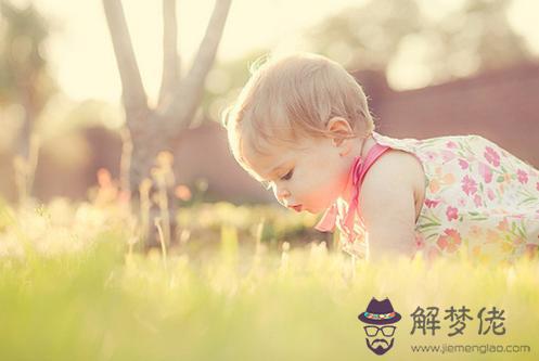 屬猴的孩子起名宜忌,不宜有五谷相關的字