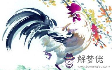 屬雞的幸運數字為0和5,可以試試可提升運氣額