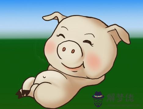 屬豬幸運數字是什麼,0和5可以為屬豬的開運