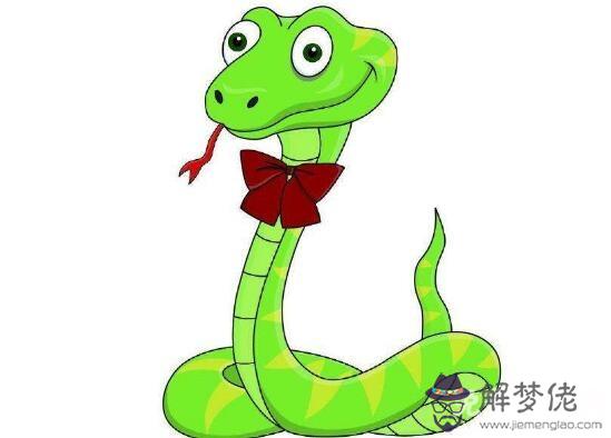 屬蛇的幸運數字能保平安,開車的時候不會出事故