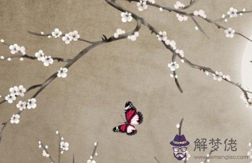 1613818047517683.jpg 2021-02-20_160028.jpg