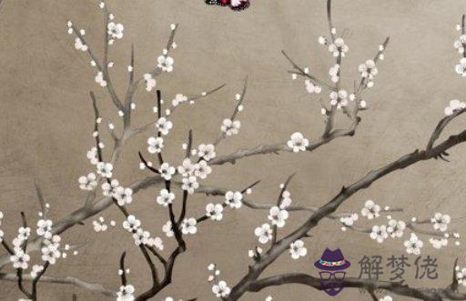 1613818155587625.jpg 2021-02-20_160036.jpg