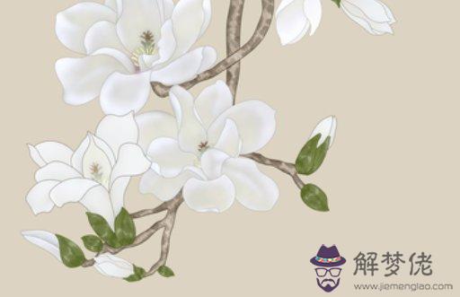 1613810777856473.jpg 2021-02-20_155427.jpg