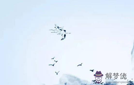 1611371796147143.jpg 2019-11-24_120303.jpg