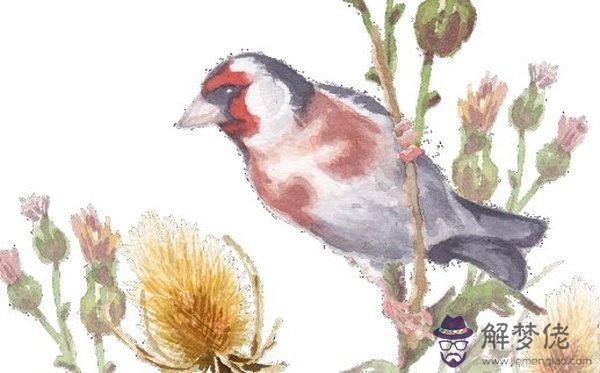 1610857650431661.jpg 2021-01-12_134935.jpg