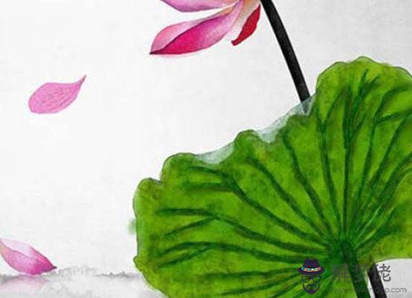 1610681729177408.jpg 2019-11-24_105408.jpg