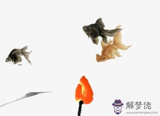 八字合婚:屬虎和屬龍的會合財嗎 婚配怎麼樣