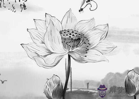 八字合婚:屬鼠和屬鼠的八字合麼 婚姻怎麼樣