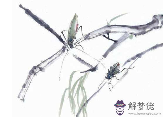 八字配對:屬鼠和屬蛇的八字合嗎 可不可以結婚嗎