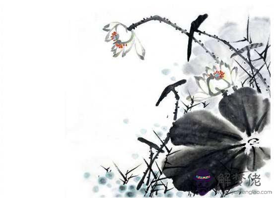 八字配對:屬鼠和屬蛇的八字合嗎 可不可以結婚嗎