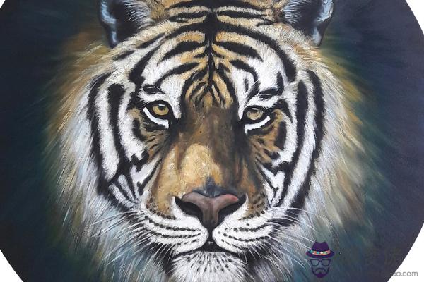 五行屬木的生肖有哪些 寅虎和卯兔