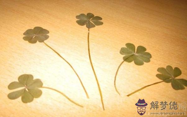 生肖血型 屬鼠AB血型的人性格與事業姻緣解析