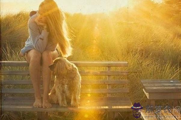 生肖血型 屬鼠AB血型的人性格與事業姻緣解析