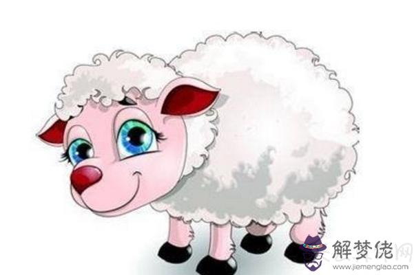 屬羊A血型的人性格與事業姻緣 生性溫順事業有成